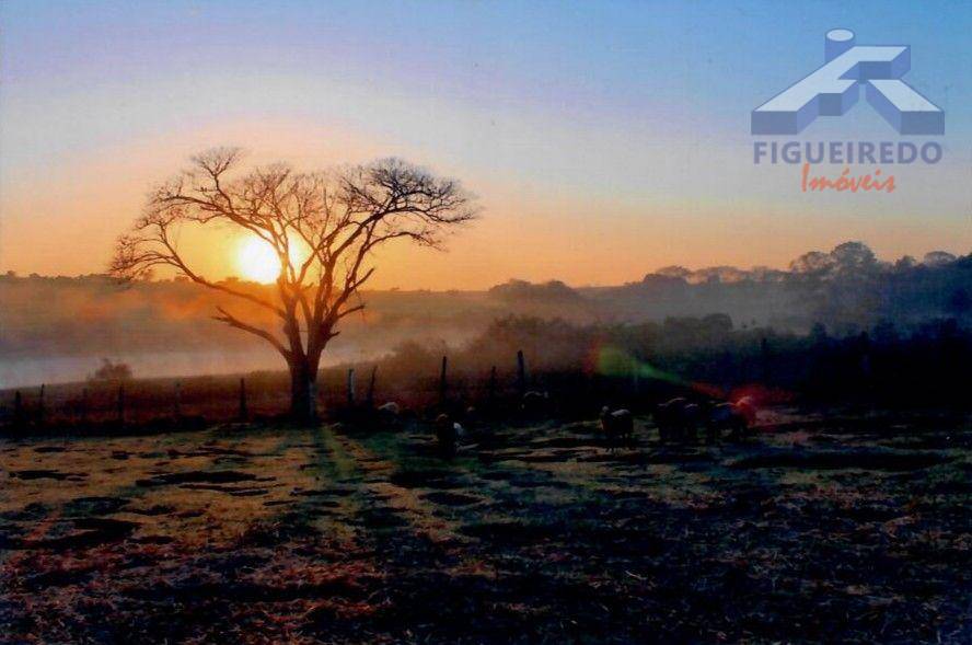 Sítio, 4 hectares - Foto 24