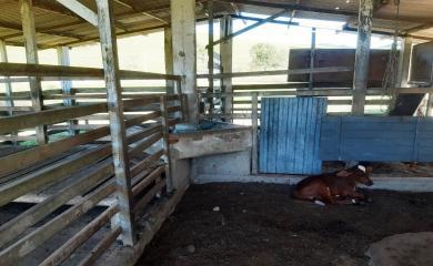 Fazenda à venda com 2 quartos, 210000m² - Foto 10