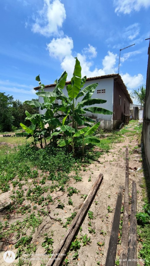 Casa para alugar com 2 quartos, 200m² - Foto 29