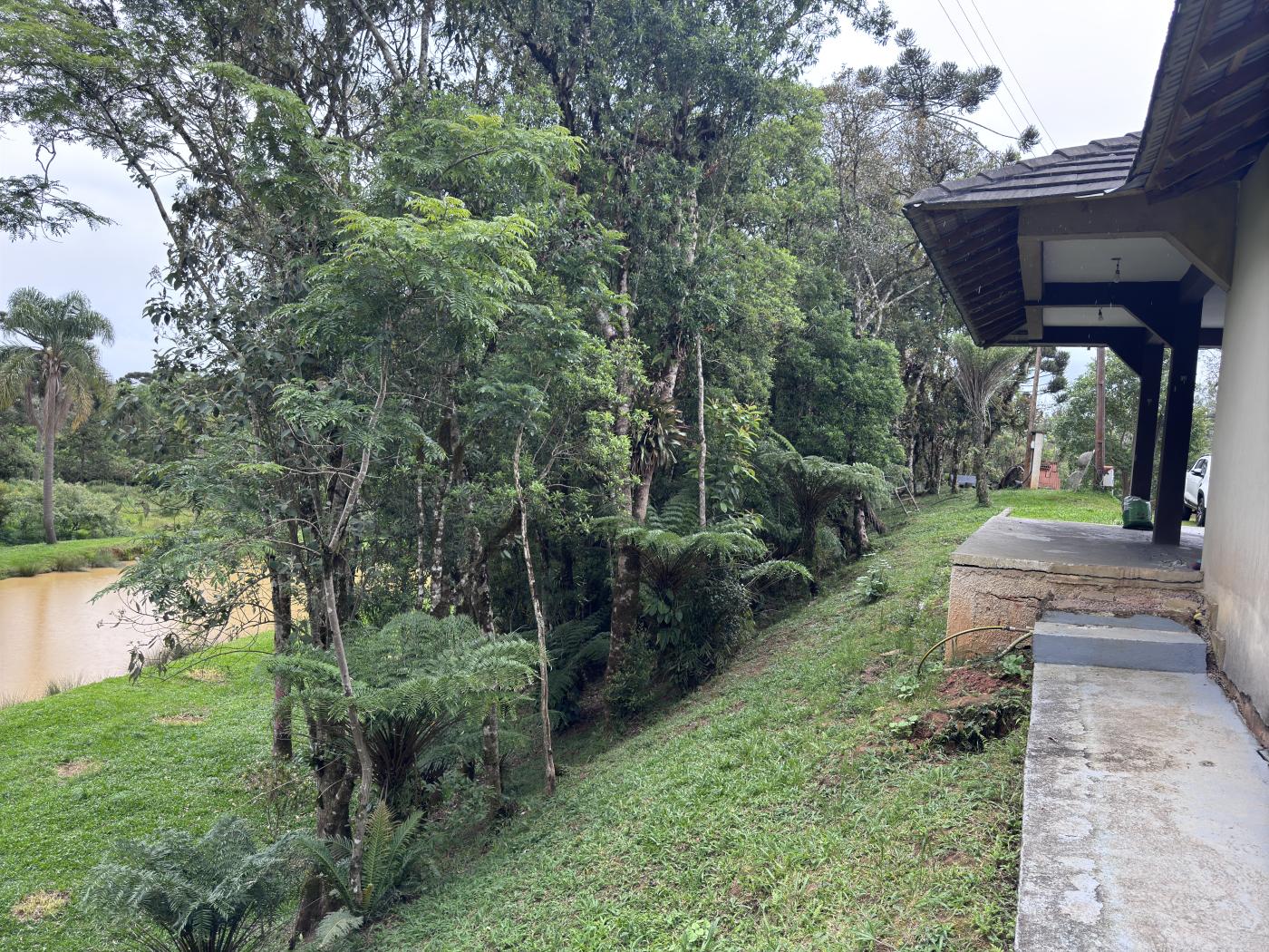 Chácara à venda com 4 quartos, 15000m² - Foto 36