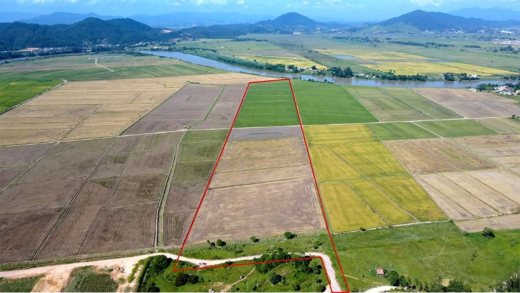 Terreno, 22 hectares - Foto 4