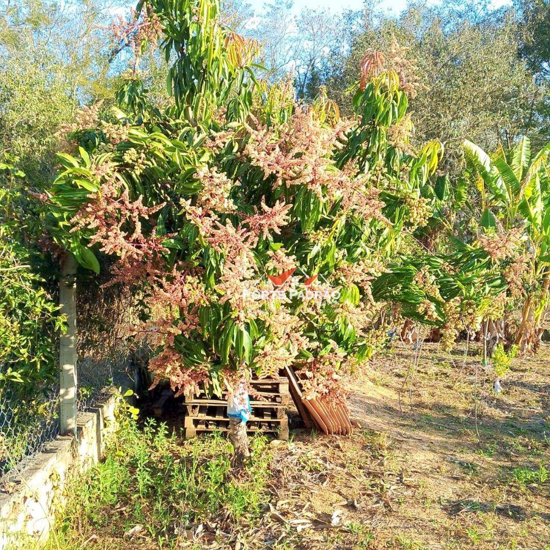 Chácara, 2 quartos, 1120 m² - Foto 4