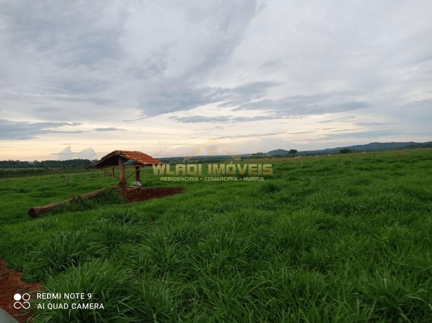 Fazenda à venda, 1435m² - Foto 4