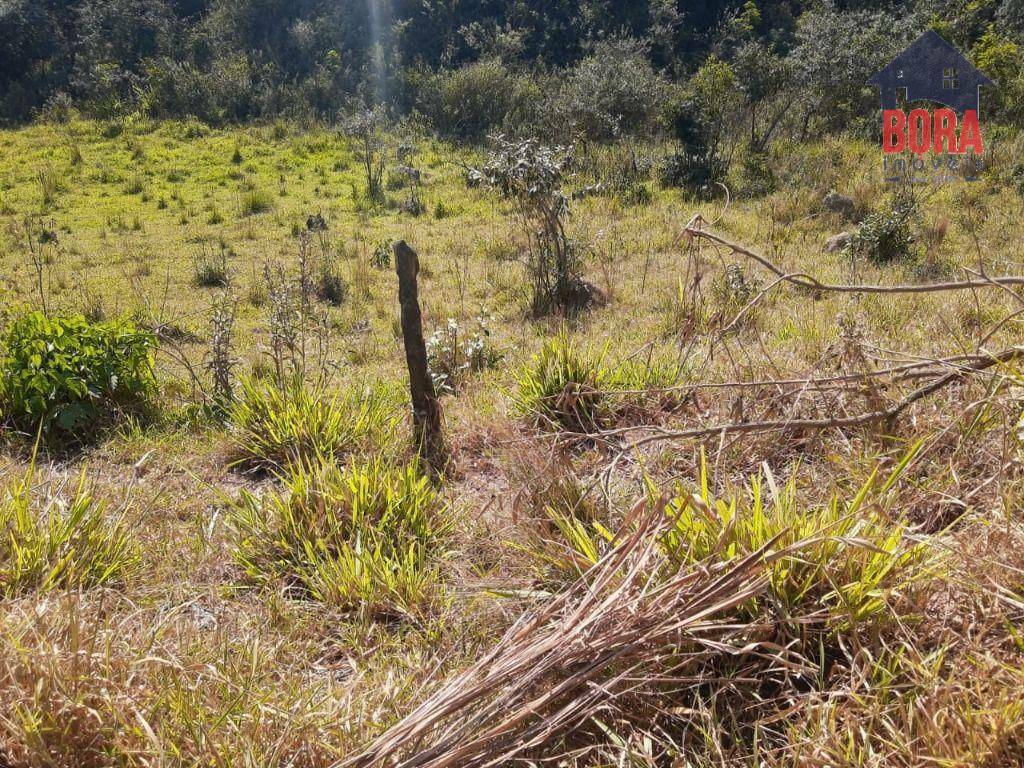 Terreno à venda, 500M2 - Foto 2