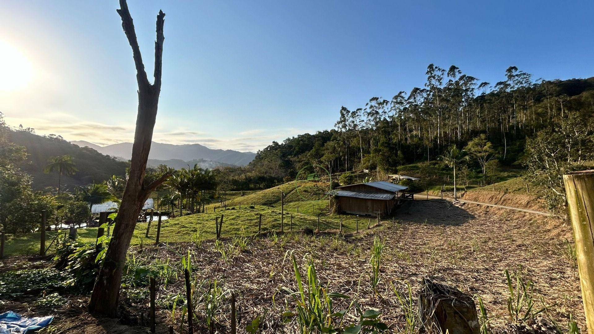 Sítio, 16 hectares - Foto 2