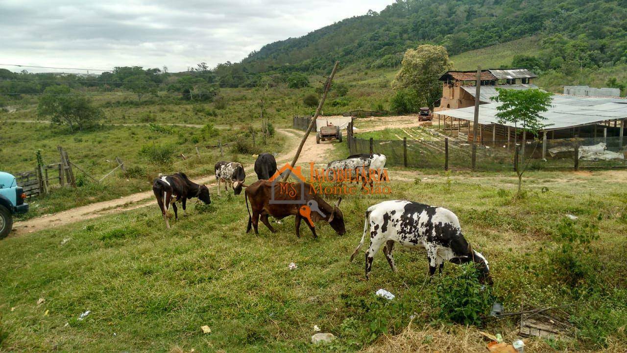 Terreno à venda, 312000M2 - Foto 24