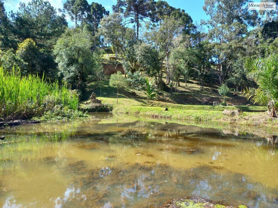 Fazenda à venda, 8000m² - Foto 9