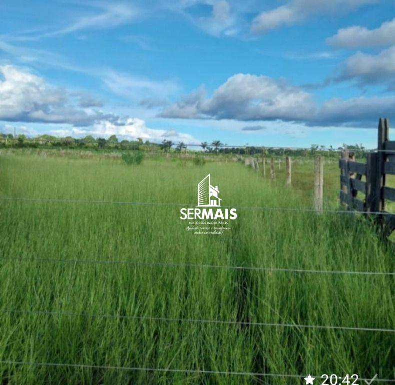 Sítio, 1 quarto, 80 hectares - Foto 4