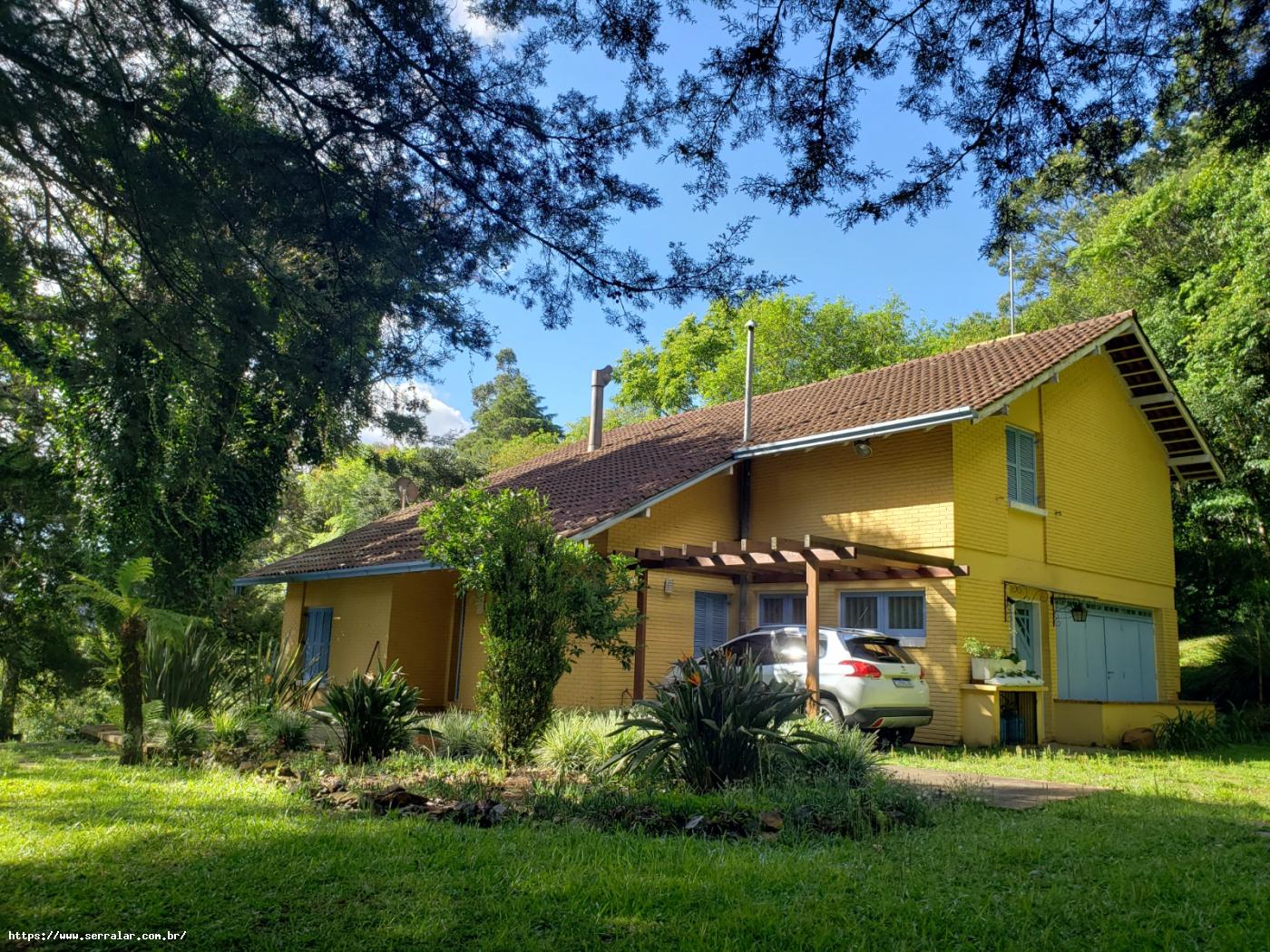 Fazenda à venda com 4 quartos, 15000m² - Foto 2