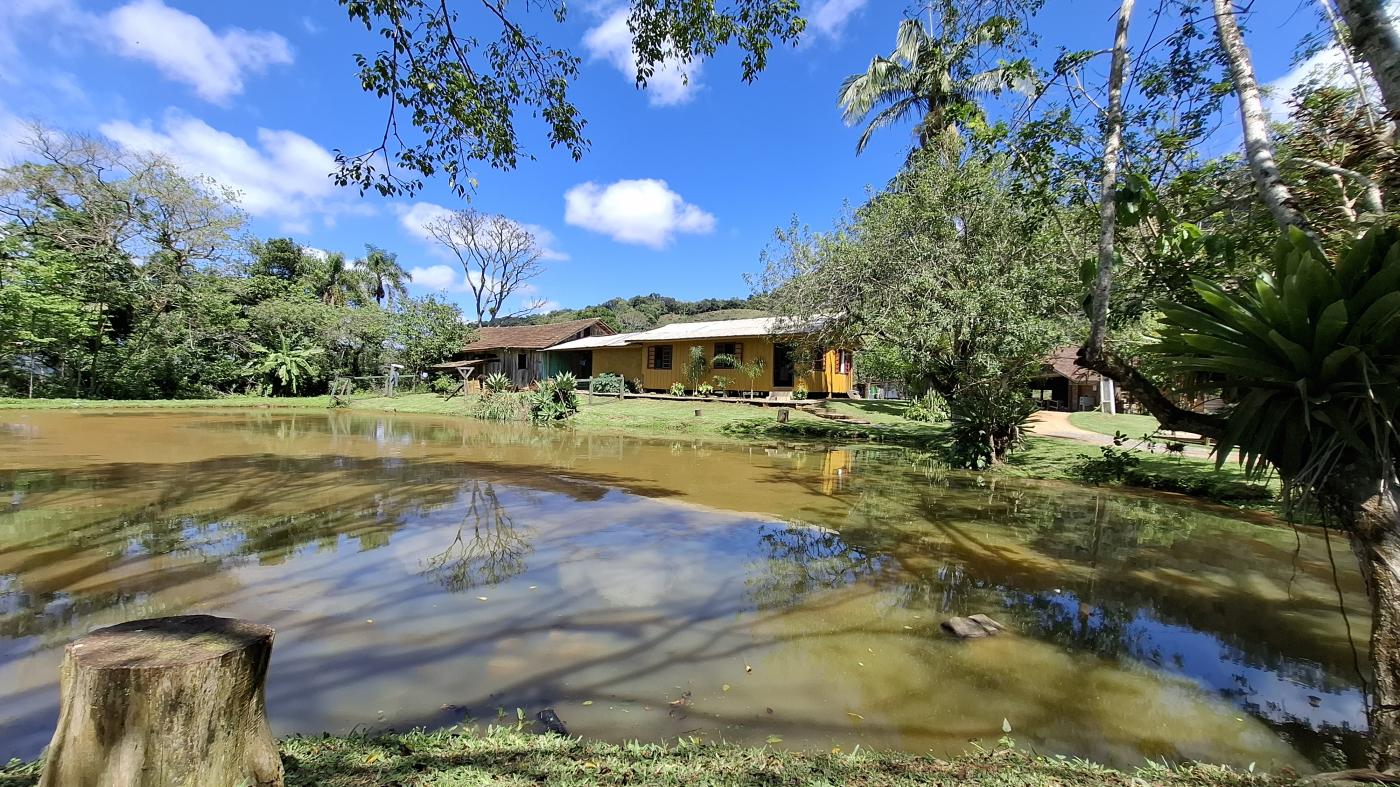 Fazenda à venda com 4 quartos, 950000m² - Foto 21