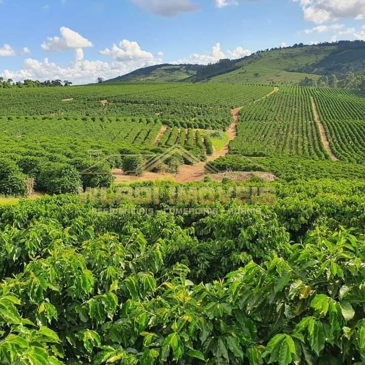 Fazenda à venda, 956m² - Foto 1