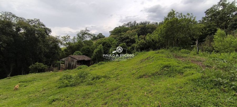 Sítio, 7 hectares - Foto 16