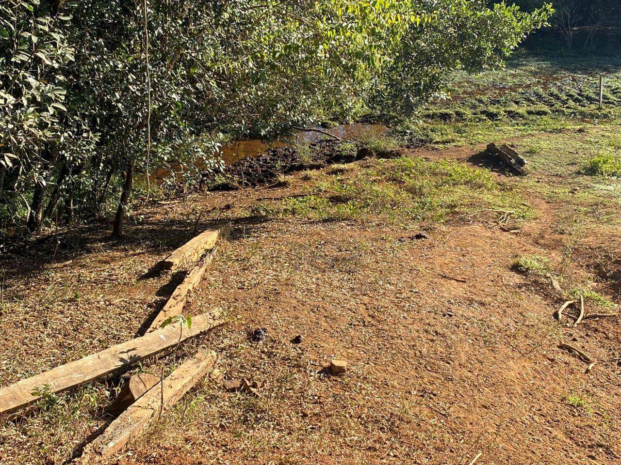 Sítio à venda, 140000M2 - Foto 7