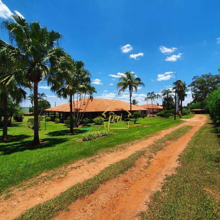 Haras e Área Rural Padrão à venda com 4 quartos, 1000m² - Foto 4