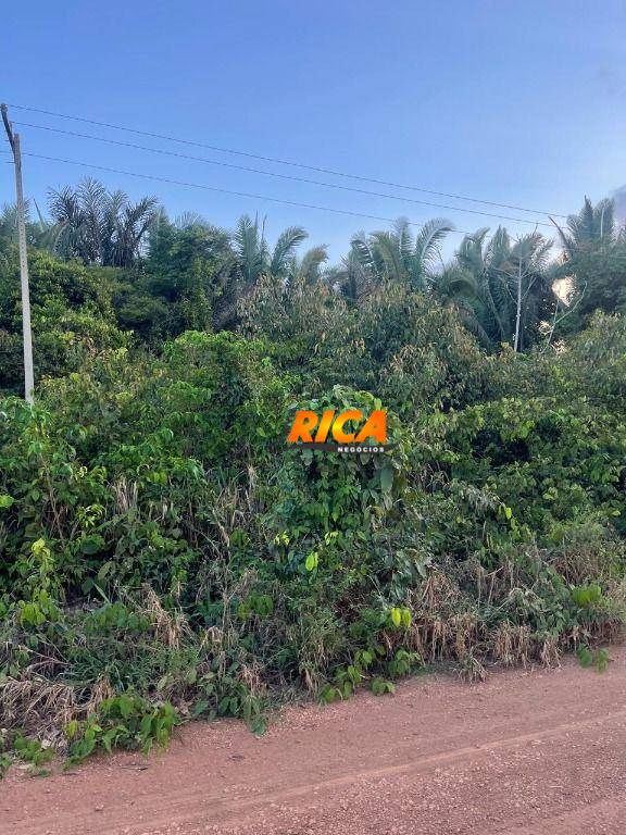 Fazenda, 100 hectares - Foto 8