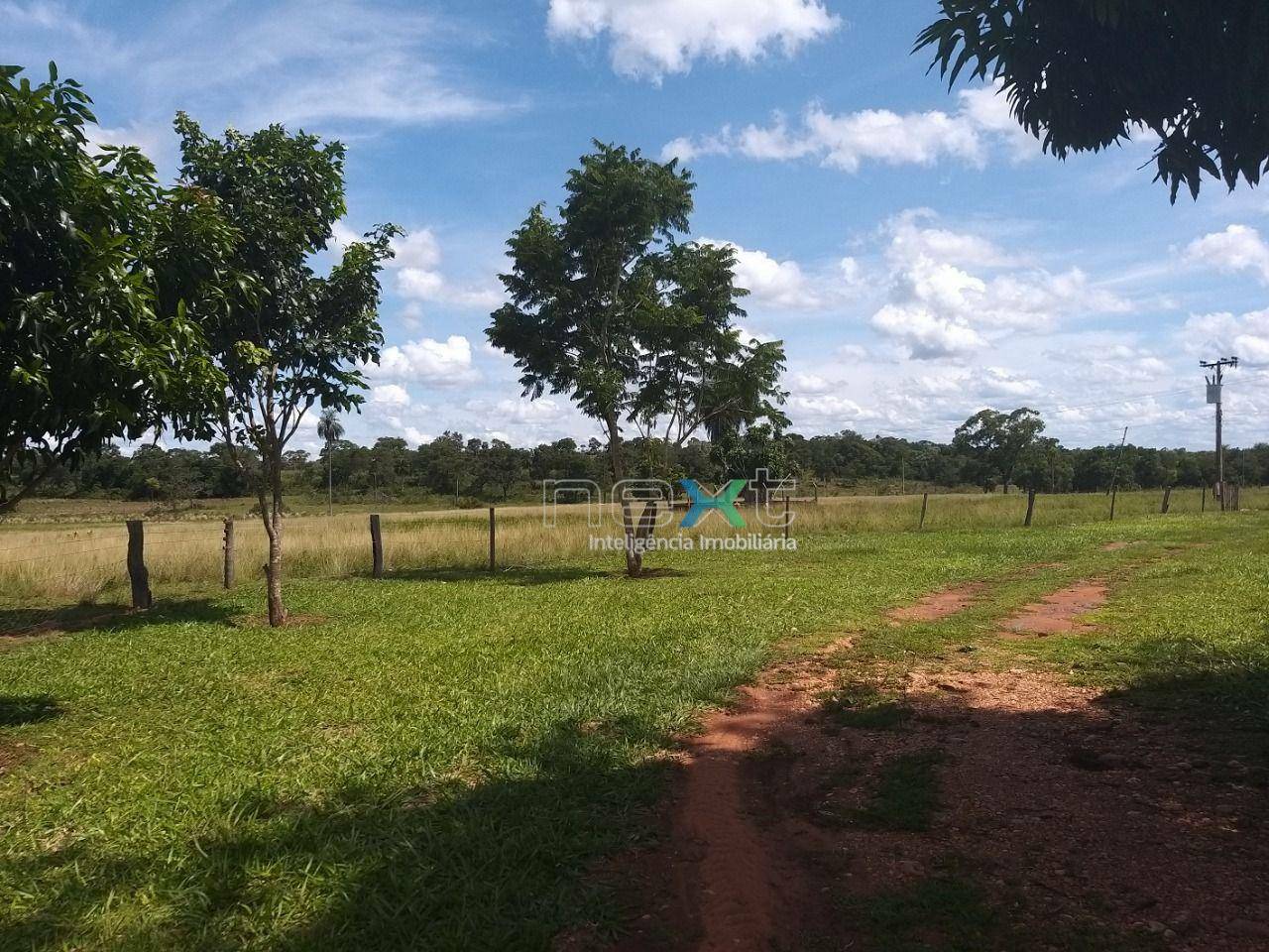 Chácara à venda com 4 quartos, 430000M2 - Foto 12