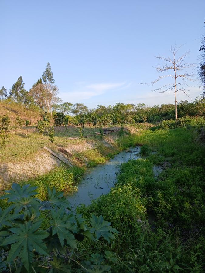 Fazenda à venda com 2 quartos, 146000m² - Foto 21