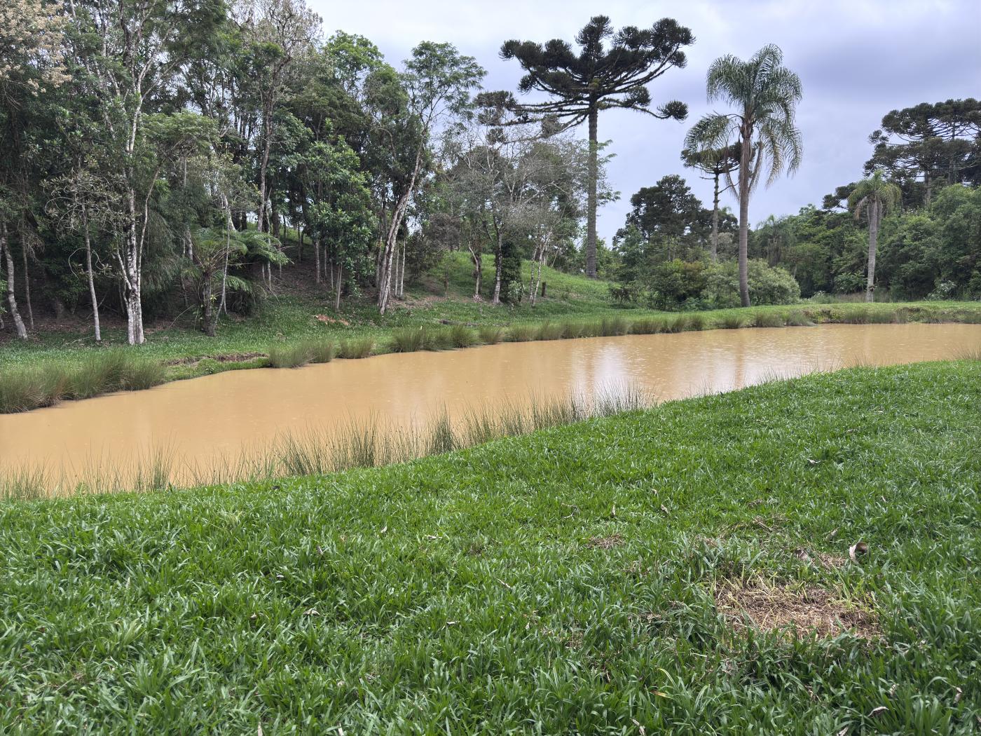 Chácara à venda com 4 quartos, 15000m² - Foto 50