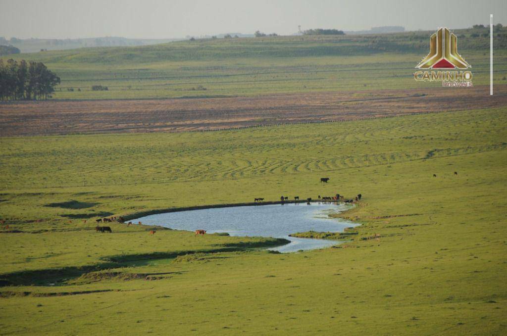 Fazenda à venda com 5 quartos, 33455000M2 - Foto 31