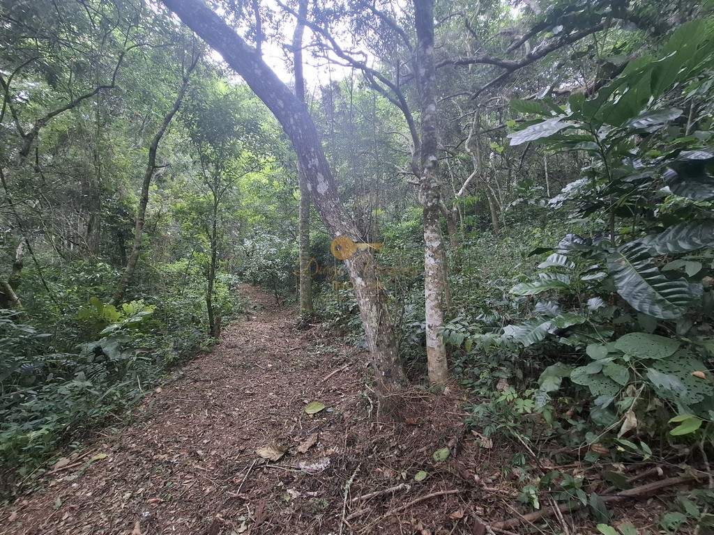 Terreno à venda, 216036m² - Foto 19