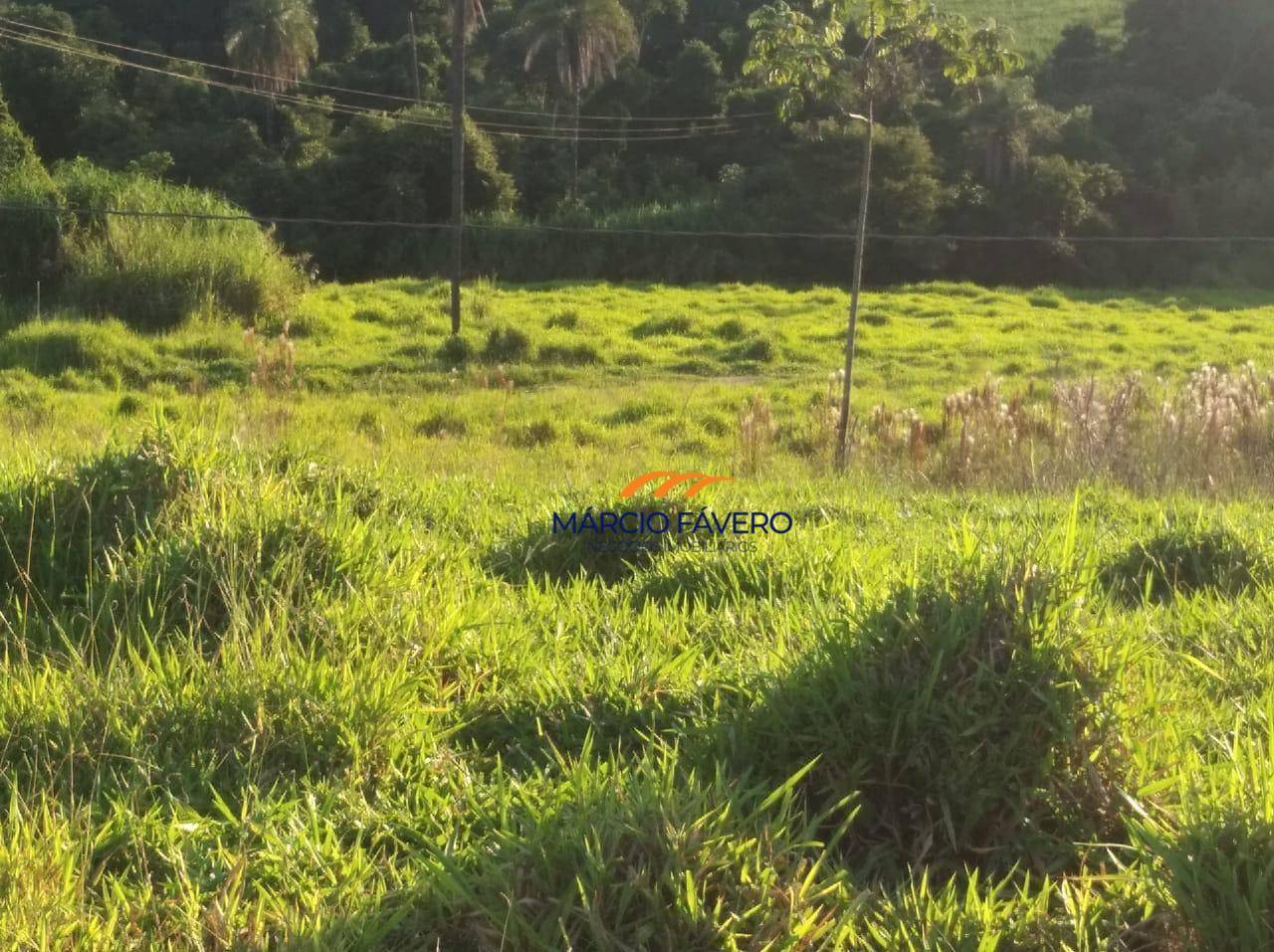 Fazenda, 121 hectares - Foto 21