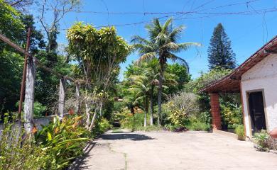 Fazenda à venda com 3 quartos, 8000m² - Foto 13