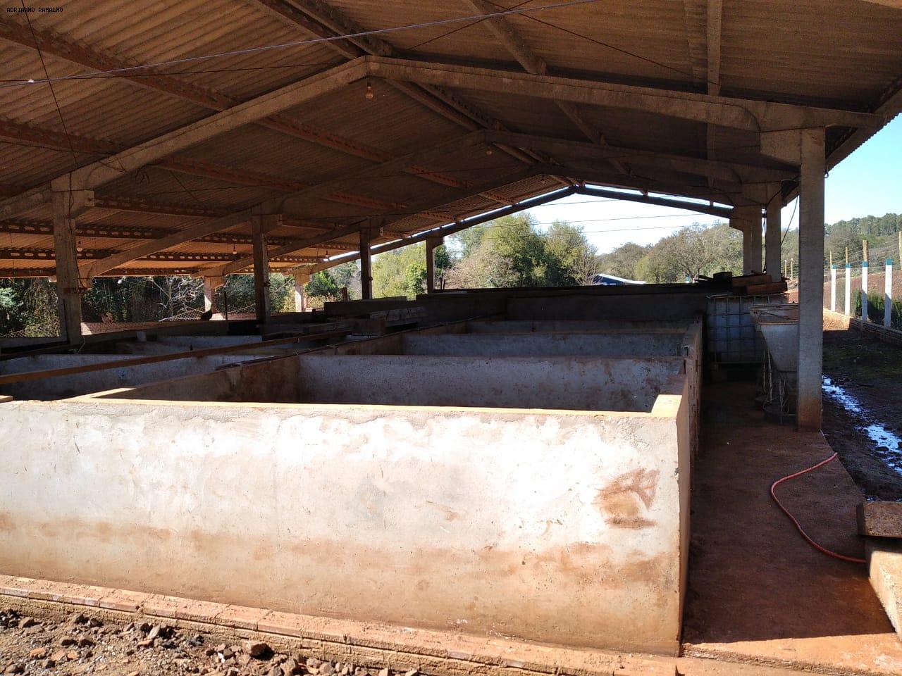 Fazenda para alugar com 3 quartos, 20000m² - Foto 7