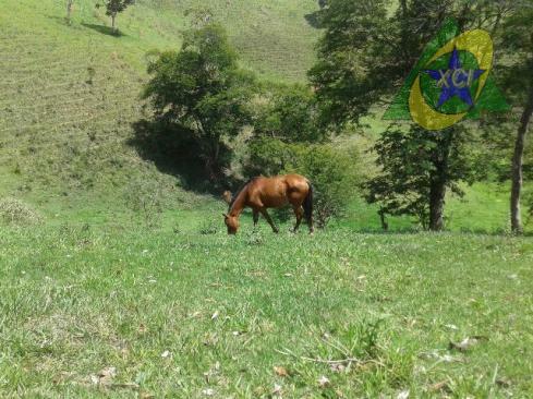 Fazenda à venda, 240000M2 - Foto 7