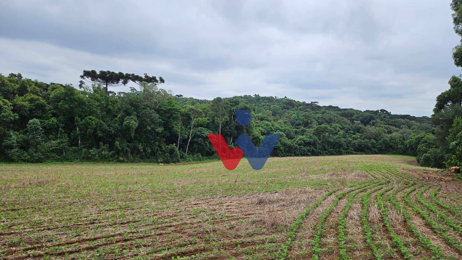 Fazenda à venda com 3 quartos, 1694000M2 - Foto 22