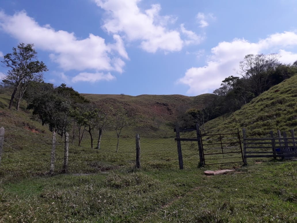 Terreno, 19 hectares - Foto 19