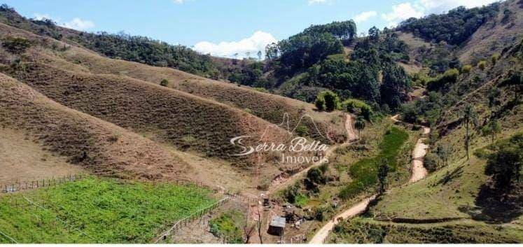 Fazenda-Sítio-Chácara, 58 hectares - Foto 4