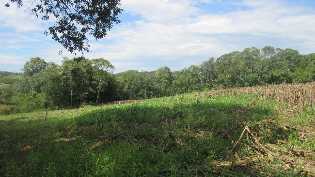 Loteamento e Condomínio à venda, 120000m² - Foto 22