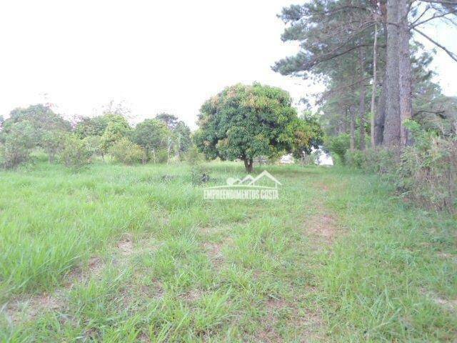 Terreno à venda, 5343M2 - Foto 7