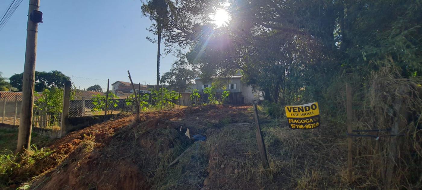 Terreno à venda, 250m² - Foto 3