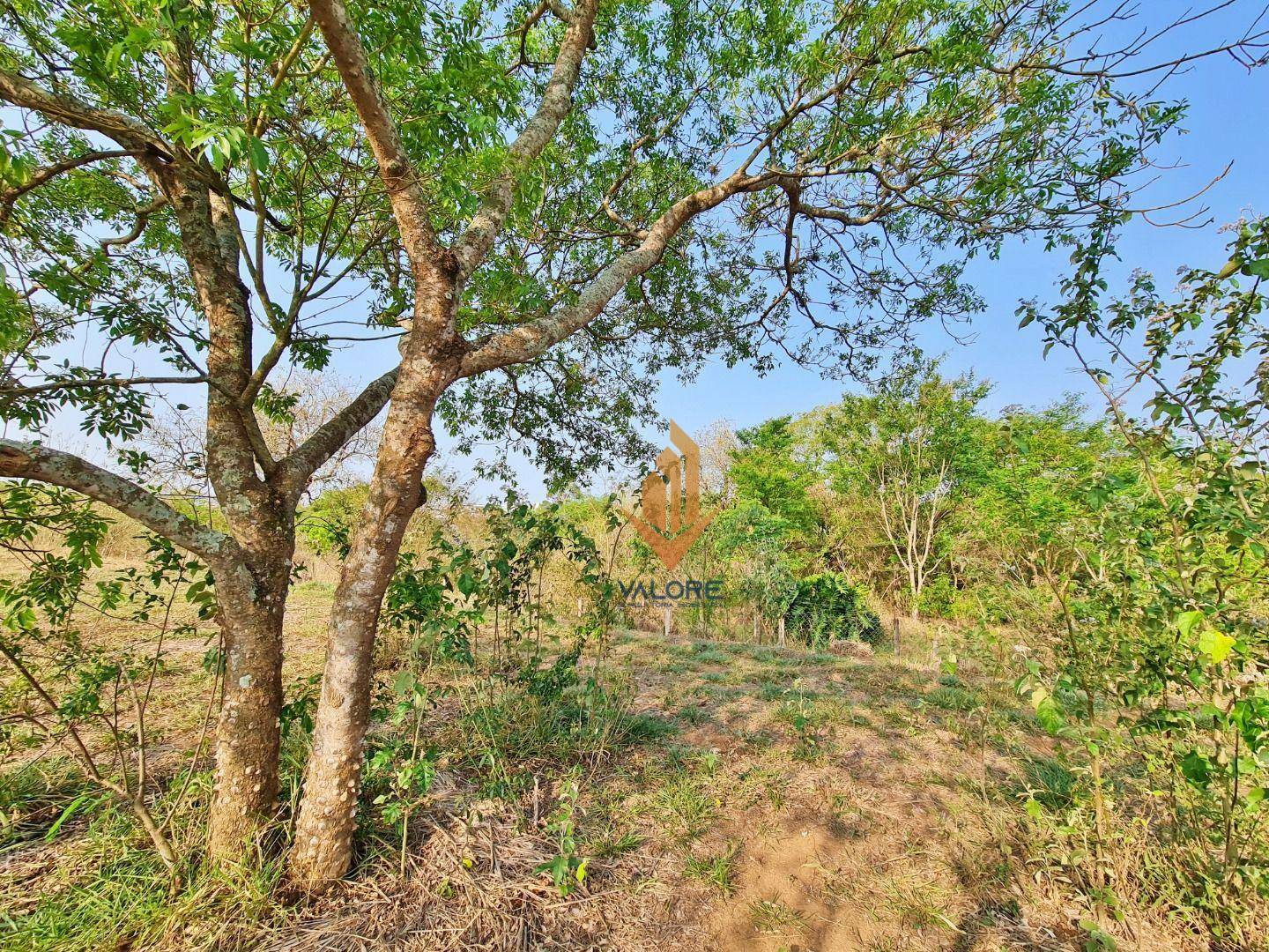 Loteamento e Condomínio à venda, 1000M2 - Foto 5