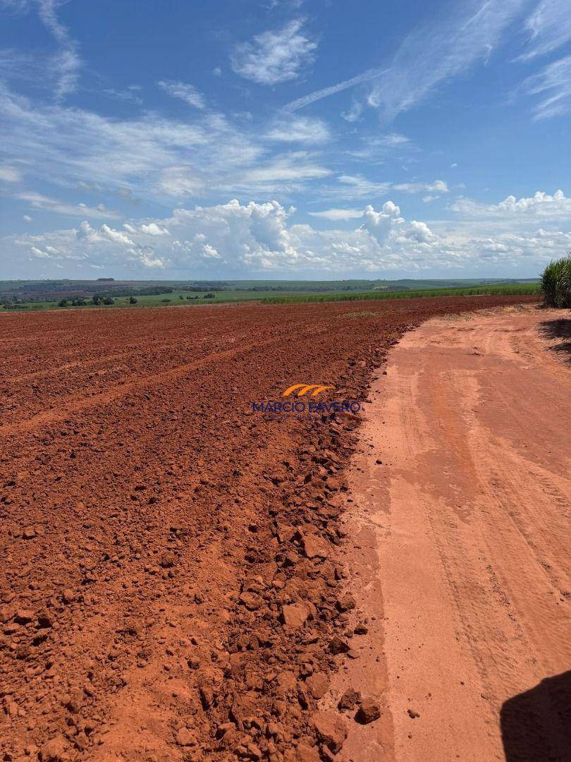 Fazenda, 1946 hectares - Foto 2