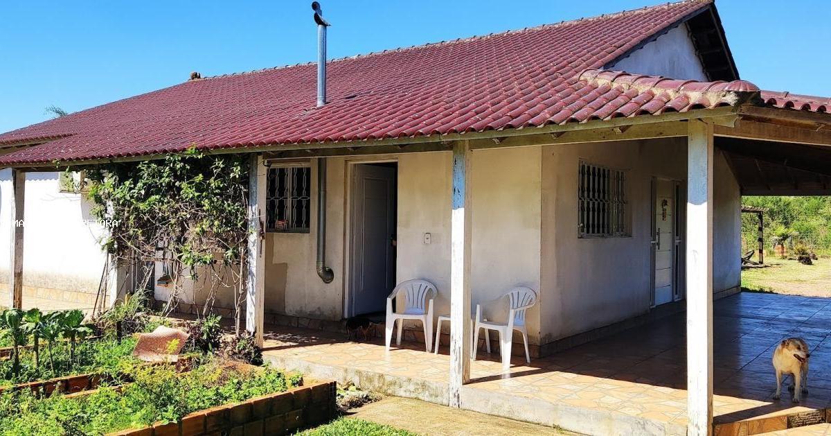 Fazenda à venda com 3 quartos, 5000m² - Foto 8