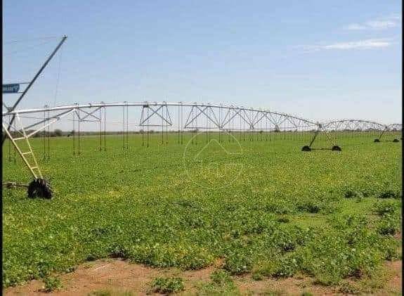 Fazenda à venda, 118290000M2 - Foto 2