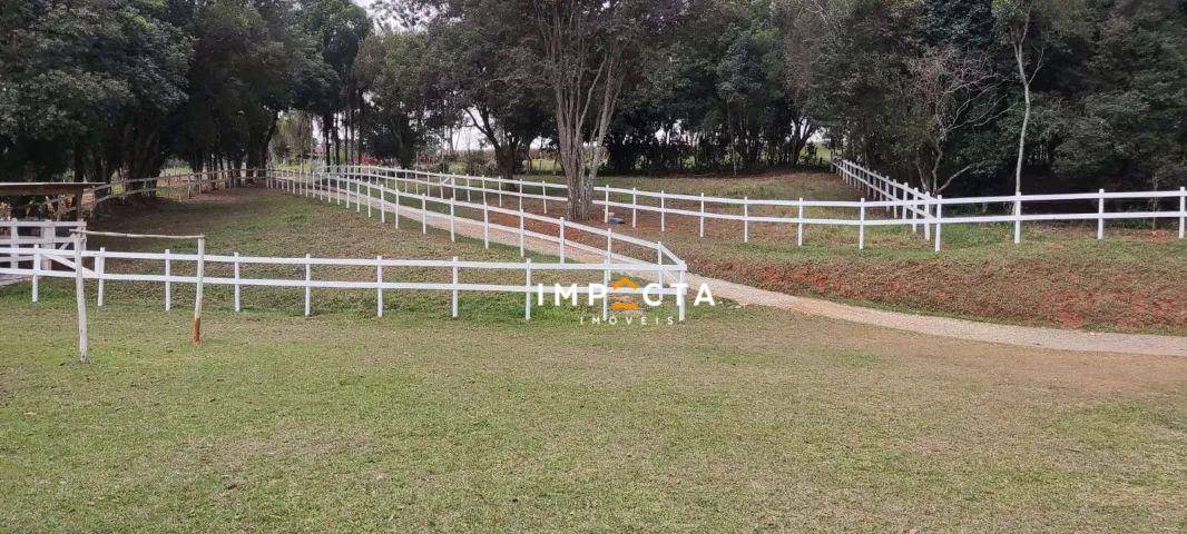 Sítio à venda com 2 quartos, 60500M2 - Foto 1