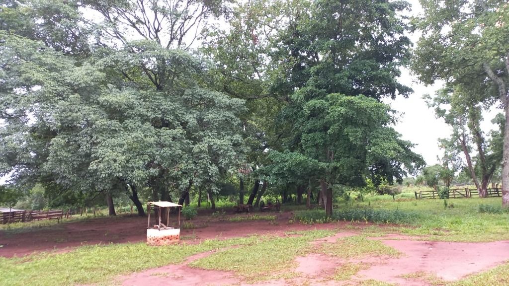 Fazenda à venda com 1 quarto, 4017200m² - Foto 9