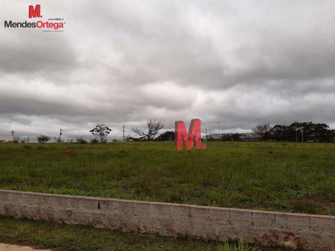 Terreno à venda e aluguel, 1043M2 - Foto 4