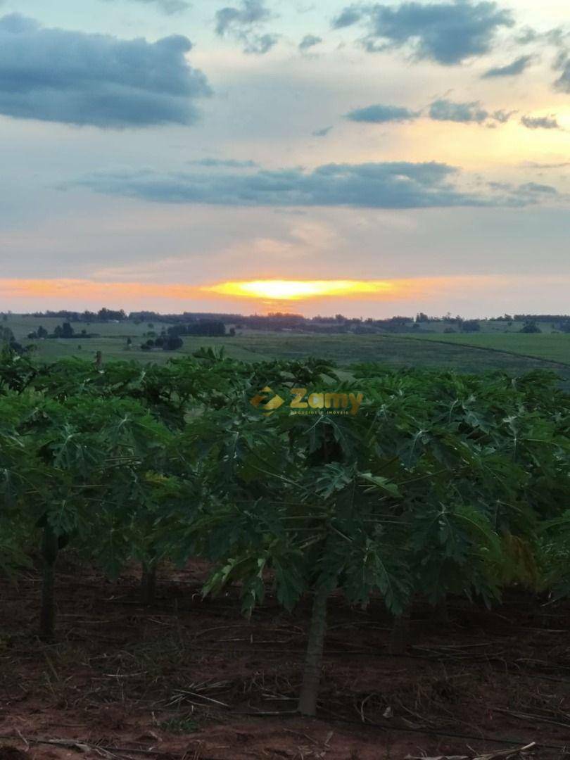 Chácara à venda com 2 quartos, 30000M2 - Foto 2