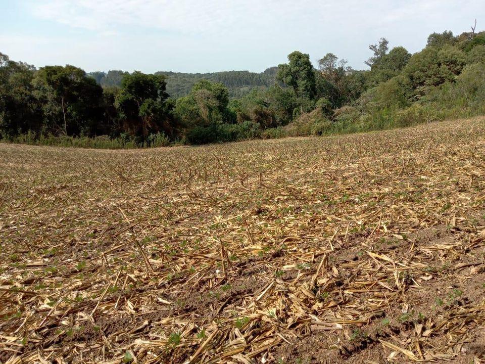 Fazenda à venda com 3 quartos, 130000m² - Foto 11