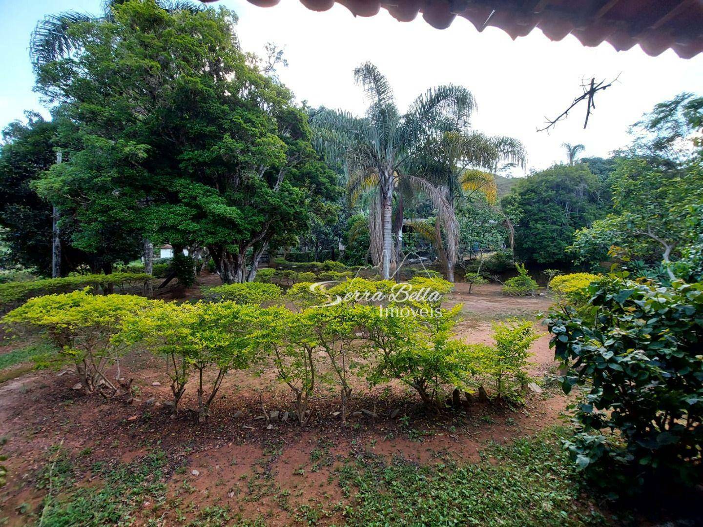 Fazenda à venda com 3 quartos, 580800M2 - Foto 19