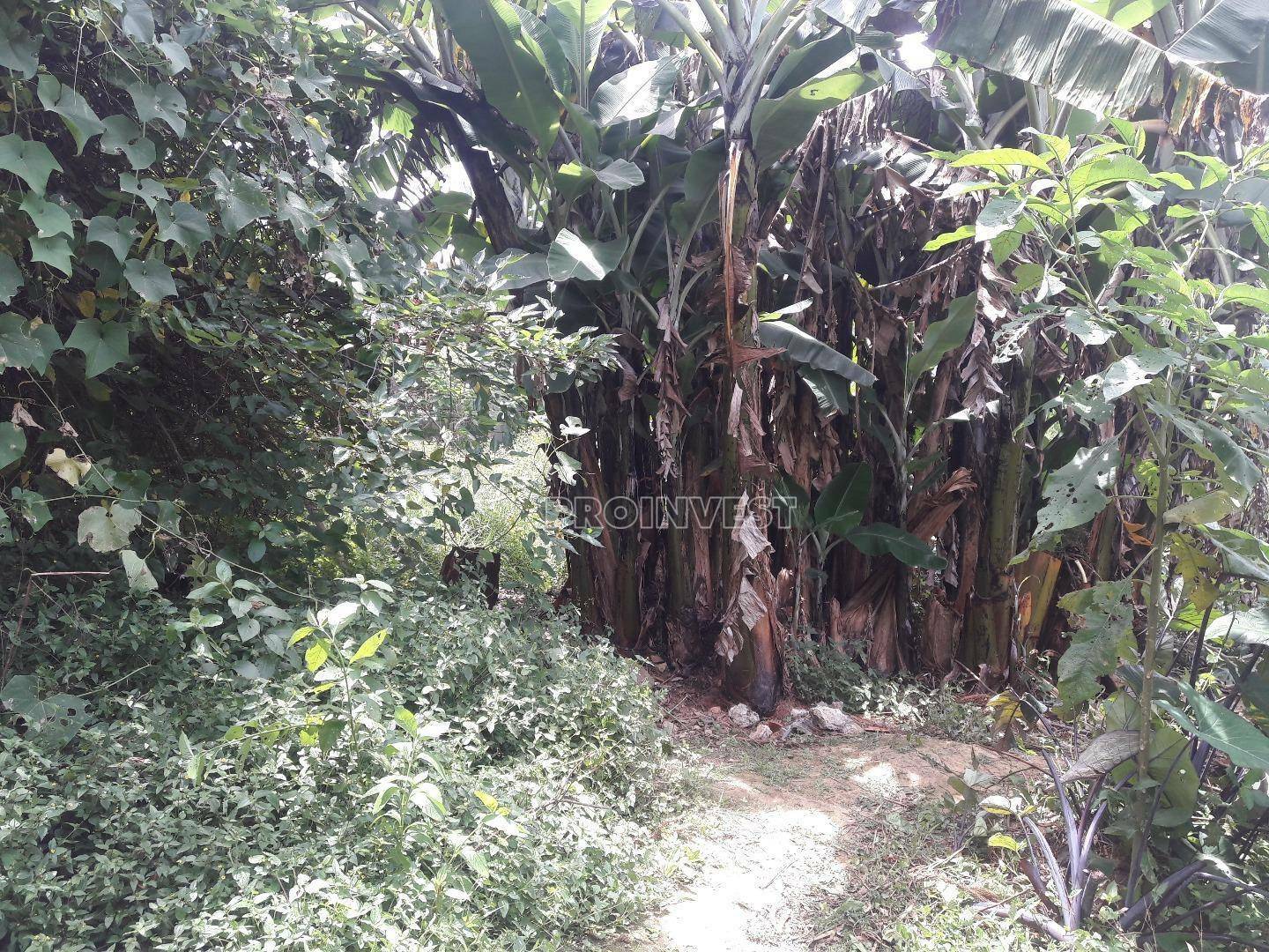 Loteamento e Condomínio à venda, 1000M2 - Foto 7