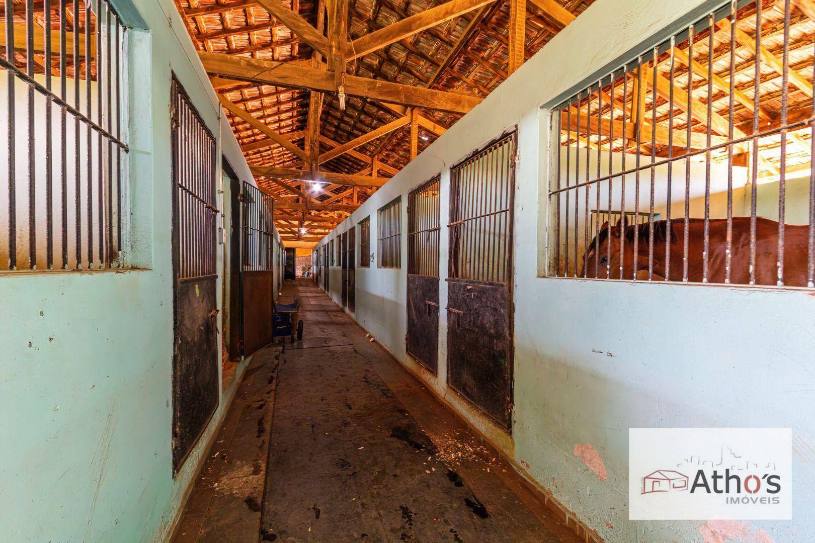 Haras e Área Rural Padrão à venda, 20140M2 - Foto 22