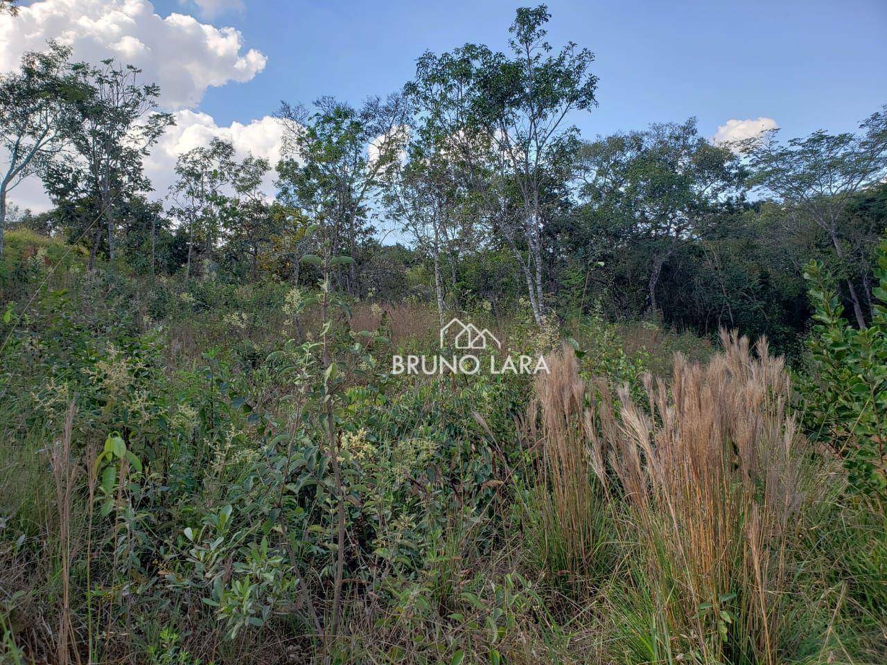 Loteamento e Condomínio à venda, 1000M2 - Foto 6