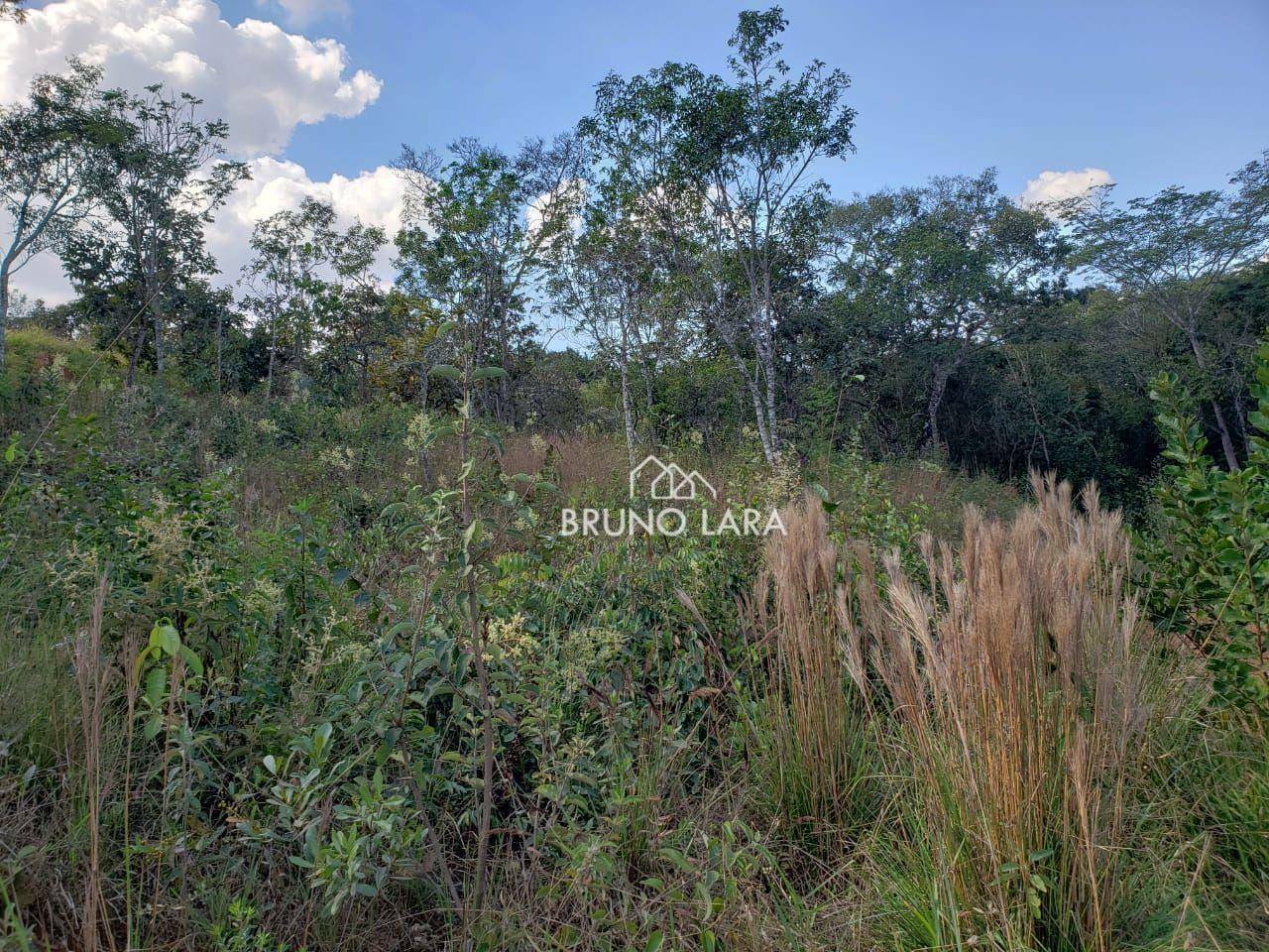 Loteamento e Condomínio à venda, 1000M2 - Foto 6