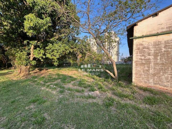 Chácara, 6 quartos, 3 hectares - Foto 7