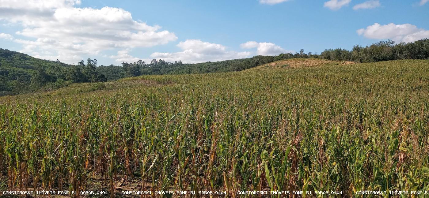 Loteamento e Condomínio à venda com 4 quartos, 370000m² - Foto 12